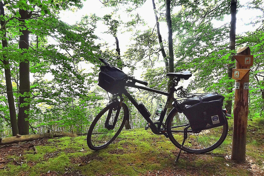 Fahrrad im Wald
